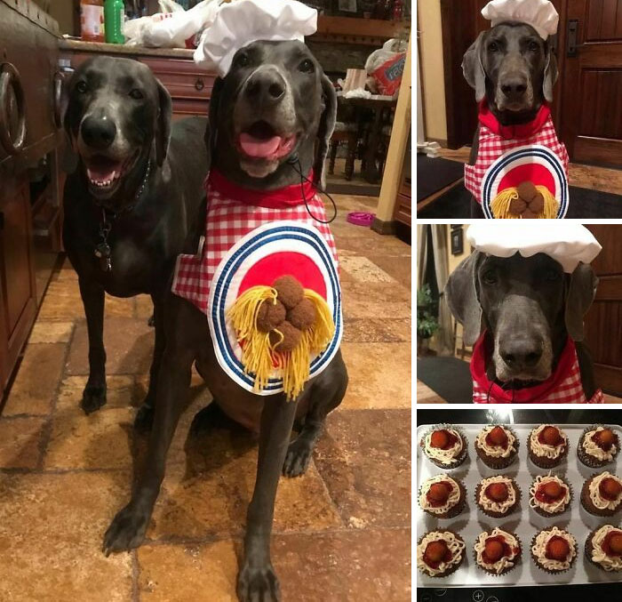 Spaghetti And Meatballs