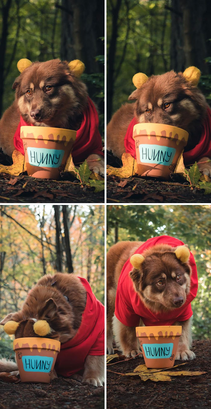 Oh Brother, I've Seem To Have Run Out Of Honey