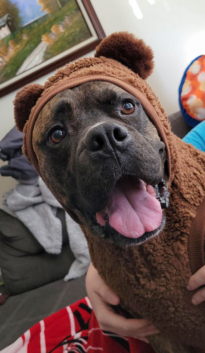 The Boy All Dappered Up In His Halloween Costume