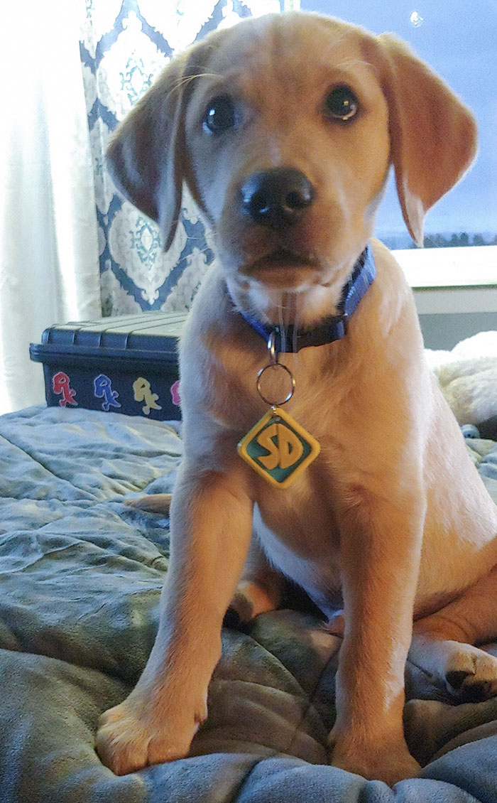 Trying On My New Halloween Costume, I'm A Little Smol But I'm Doing My Best