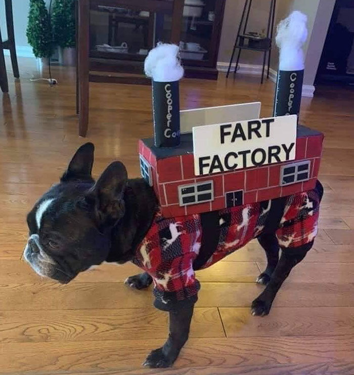 My Lil Air Biscuit Maker