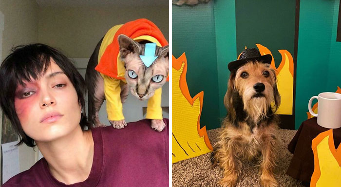 40 Mascotas que arrasaron con sus disfraces de Halloween