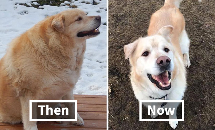 30 Former Chonks That Lost The Weight And Look Great Now