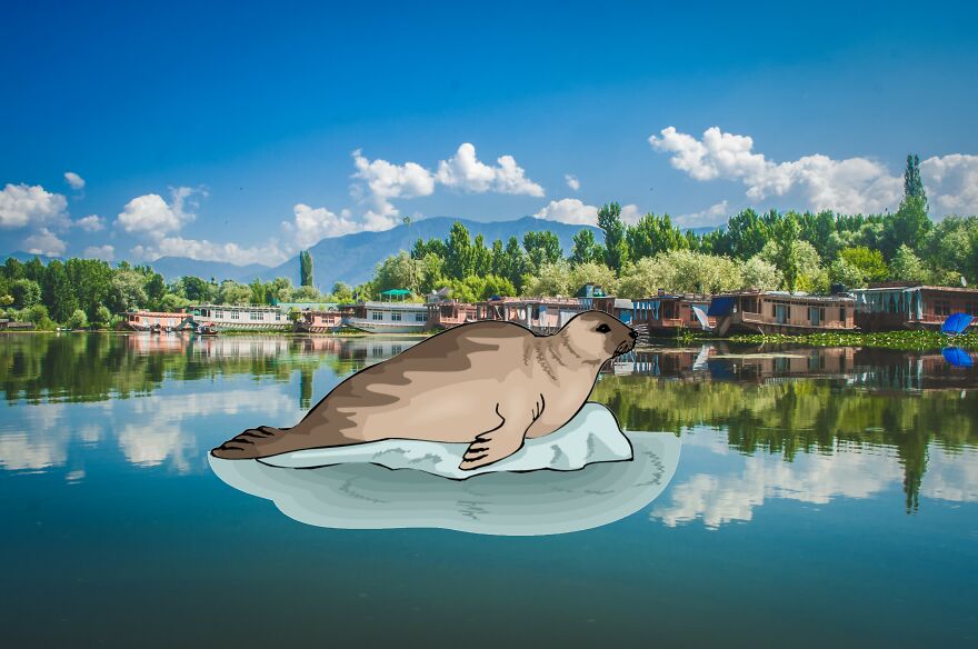 I Edited Animals In Places They Don't Belong In