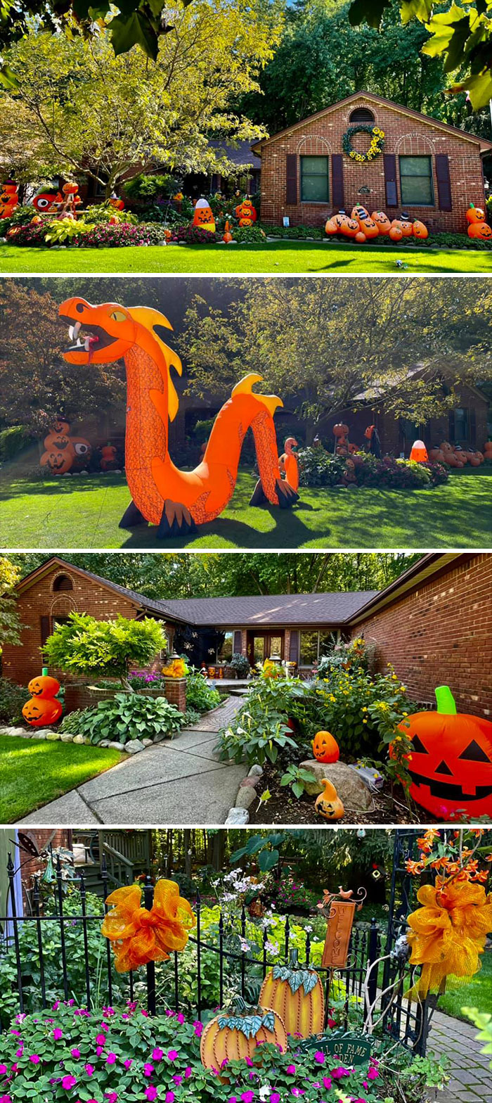 Welcome To The Pumpkin Patch