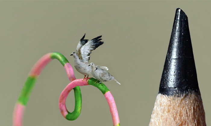 I Carve Tiny Birds Under A Microscope To Make The Outside World Disappear (20 Pics)