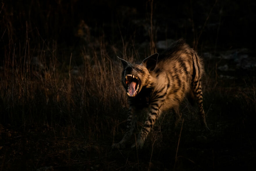 Evening Stretch, Under 20: Honorable Mention