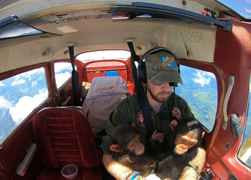  Saving Chimpanzees In Congo, Storyboard: 1st Classified