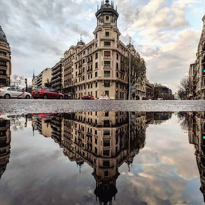 I Discover Hidden Parallel Worlds In Puddles And Other Reflections On My Smartphone (30 Pics)