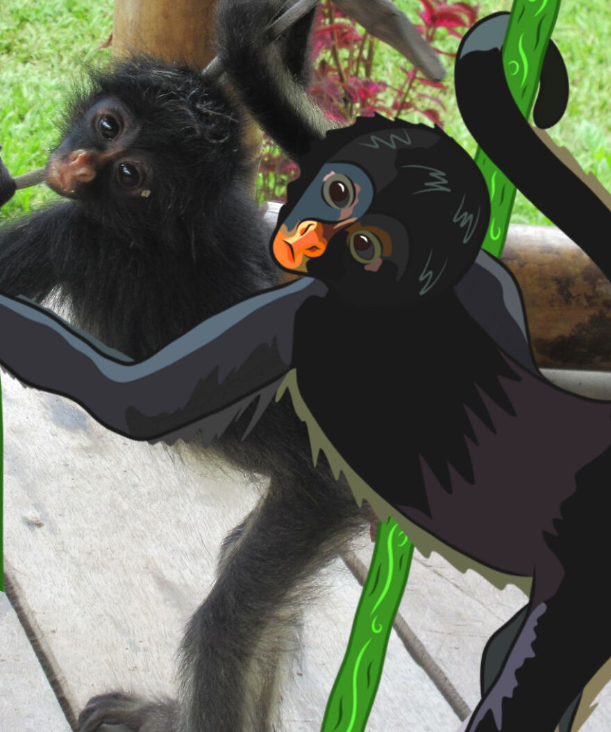 We Spent 2 Months In The Amazon And Made A Board Game About It!