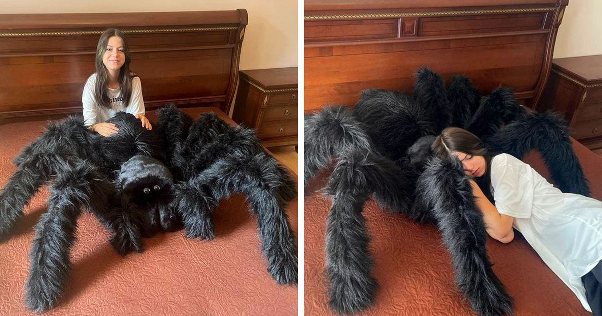Housewarming Gift Idea: A Giant Spider Pillow From This Online Shop