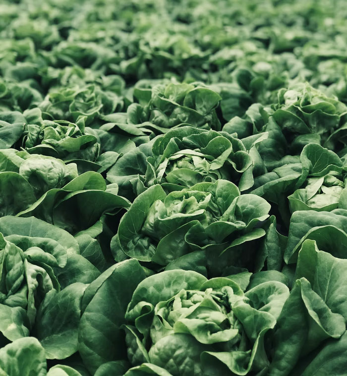 People Share 40 Stupid Questions They Got Asked For Real That Made Them Facepalm