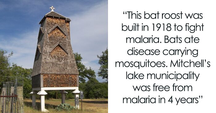 30 ‘Today I Learned’ Facts That Show It’s Never Too Late To Learn (New Pics)