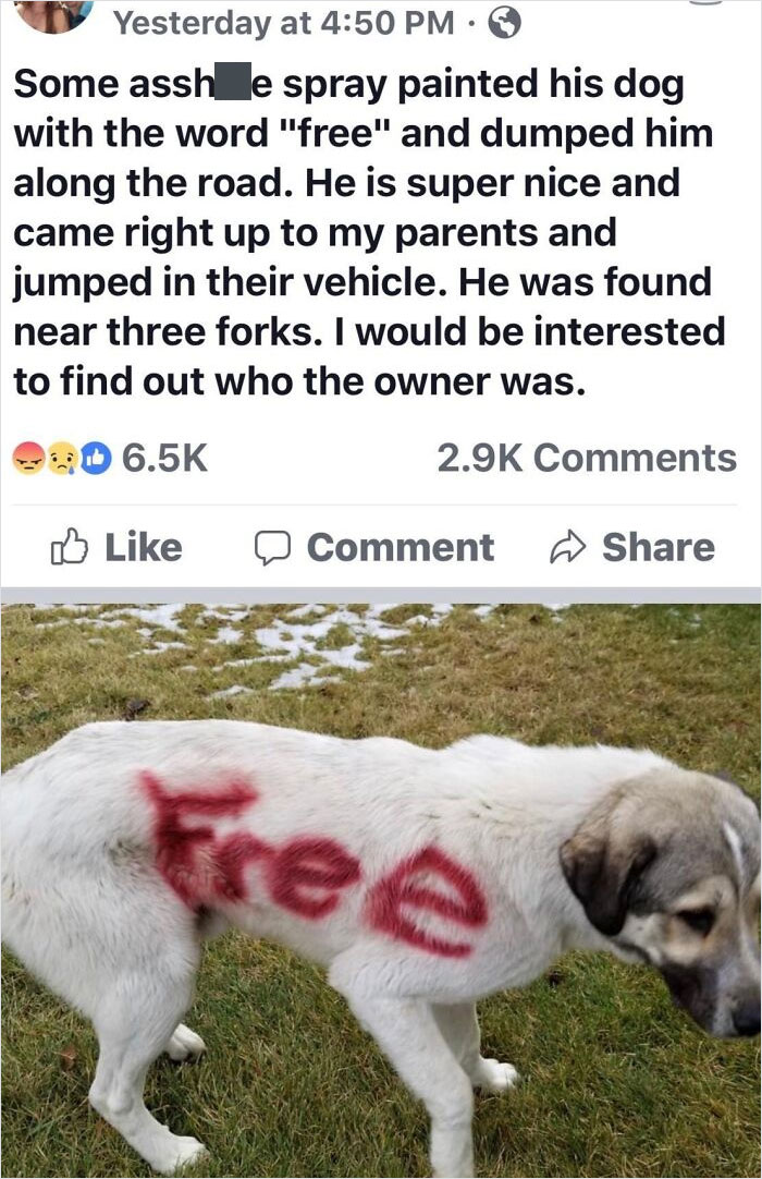 Absolute Human Waste