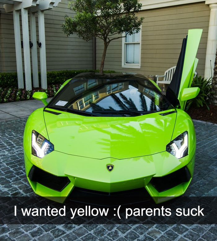 Bumblebee Didn’t Want To Be In Their Possession