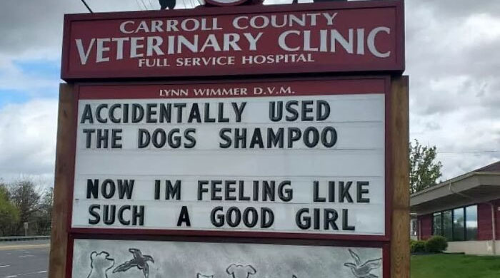 30 Of The Funniest Outdoor Signs From This Vet Clinic To Make You Crack A Smile (New Pics)