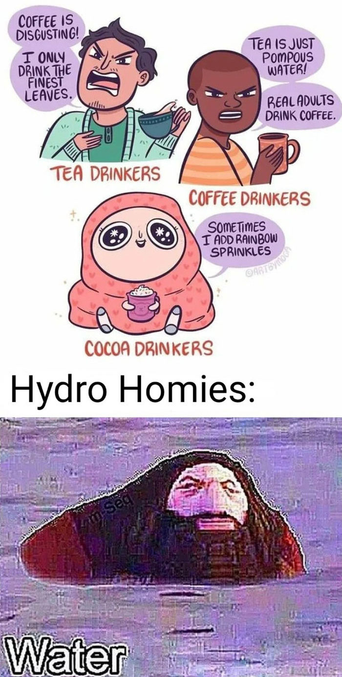 Funny meme comparing tea, coffee, cocoa drinkers, and water with "Hydro Homies" in a humorous style.