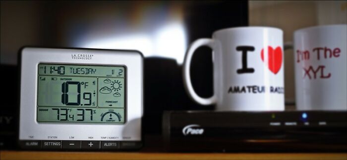 Weird-Facts-You-Not-Know-Tiktok