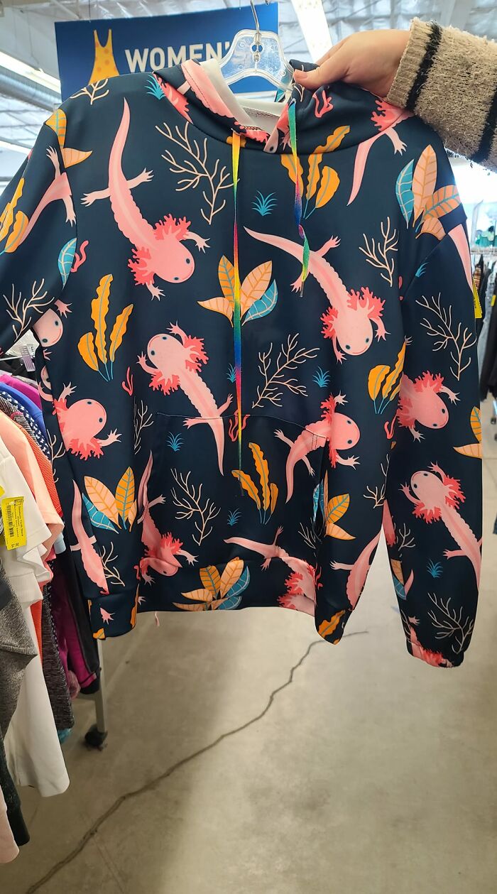 The Best Sweater, Regretfully Did Not Fit Or Come With