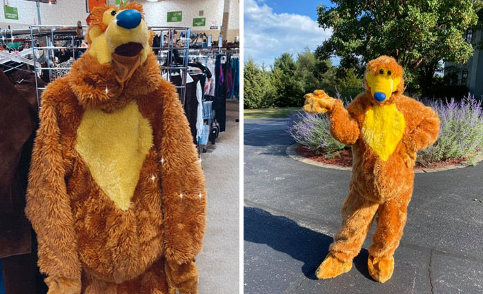 Uhm Obviously I Had To Buy This. Who Wouldn’t Want This Amazing Piece Of Art?! $25 Goodwill Algonquin Il. Found My Costume For Waitressing Lol. Bear In The Big Blue House For Life!!