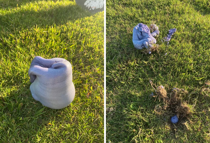 What Is This Bubbling Out Of The Ground In My Yard? Purplish Metallic Gooey Inside. Keeps Bubbling Even If I Dig A Thin Layer Down With A Shovel