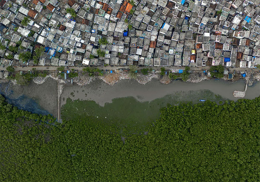 Highly Commended. Wetlands - The Bigger Picture: 'The Nurturing Wetland' By Rakesh Pulapa