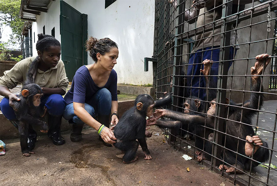 Category Winner. Photojournalist Story Award: 'Making Friends' By Brent Stirton