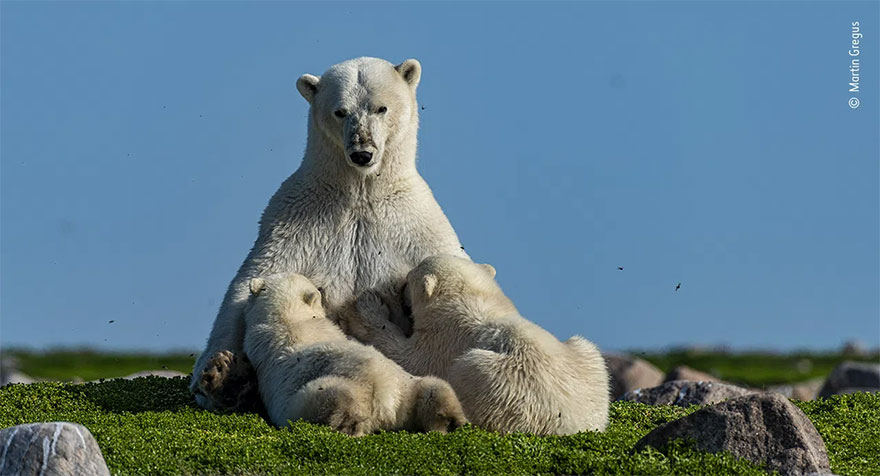 Category Winner. Rising Star Portfolio Award: 'Family At Ease' By Martin Gregus