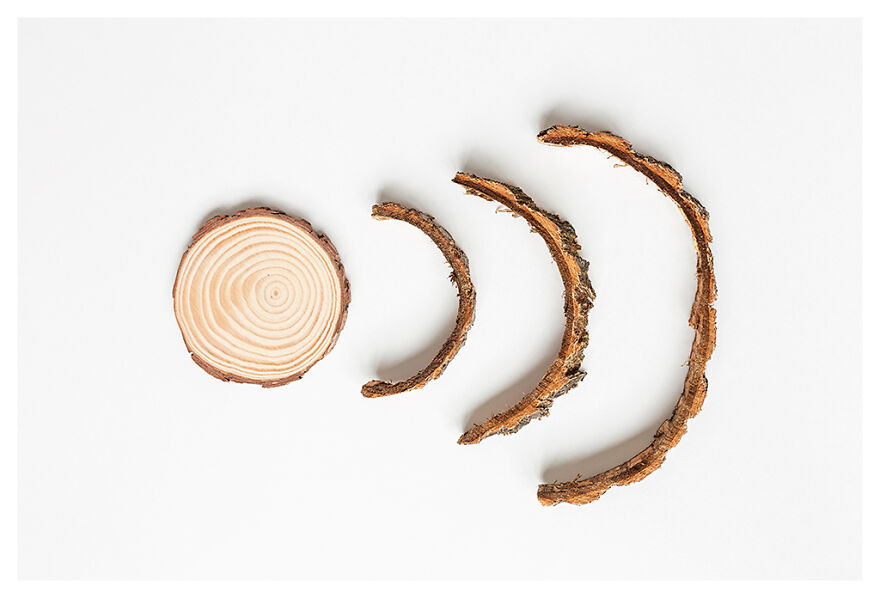 Conceptual Photography vs. Climate Change By Richard Le Manz Conceptual Photography vs. Climate Change By Richard Le Manz