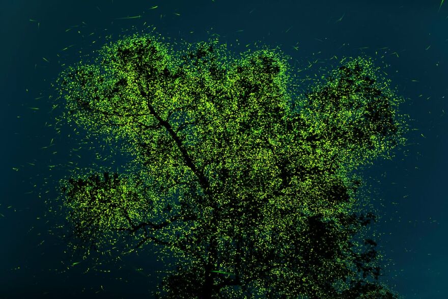 People’s Choice Award: Prathamesh Ghadekar, India