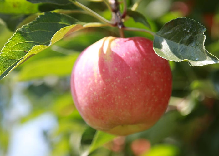 "Hoy aprendí": 30 datos que demuestran que nunca es tarde para aprender (nuevas fotos)