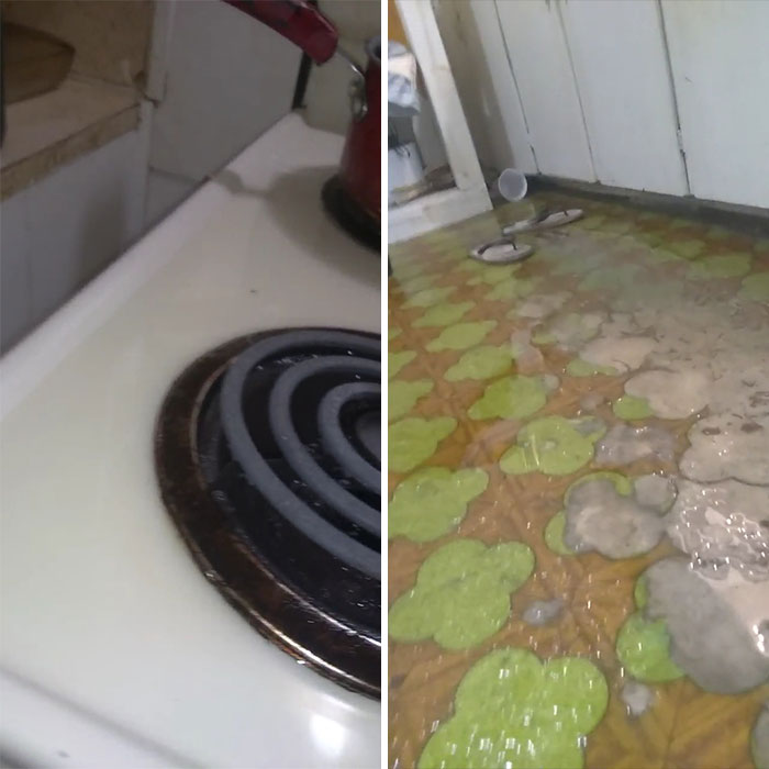 This Is One Gallon Of Vegetable Oil. Help Me