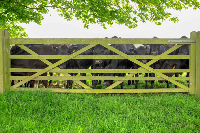 30 Jobs People Actually Do That You Might Not Have Thought Of, As Shared By Folks In This Online Group