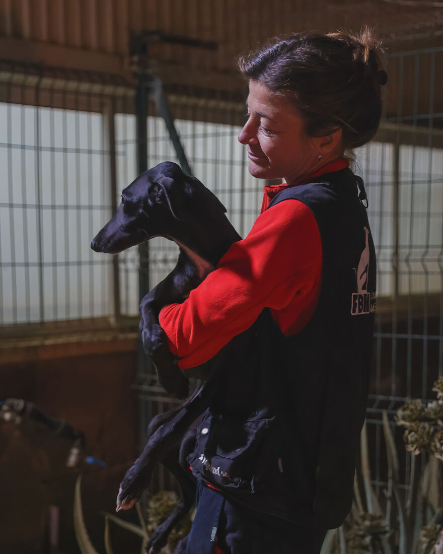 After Spending 10 Days In A Shelter With 500 Dogs, I Decided To Bring Some Of These Rescues With Me Back To The US