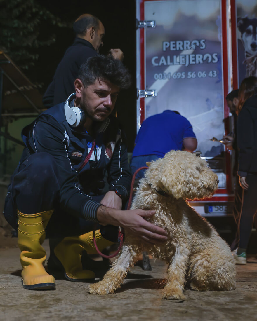 After Spending 10 Days In A Shelter With 500 Dogs, I Decided To Bring Some Of These Rescues With Me Back To The US