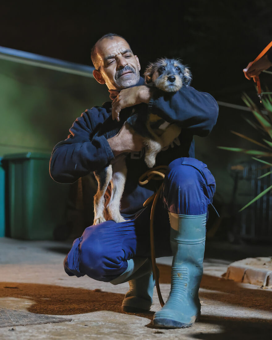 After Spending 10 Days In A Shelter With 500 Dogs, I Decided To Bring Some Of These Rescues With Me Back To The US