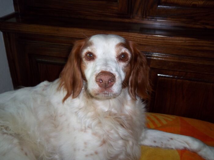 My Sugar, My Heart, My Love, My Everything.