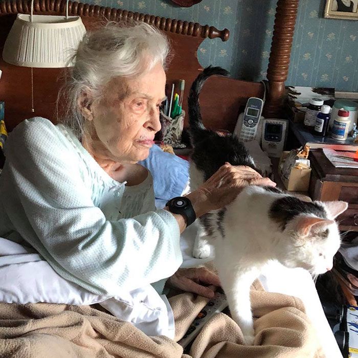 “Match Made in Heaven”: This Family Adopted The Oldest Cat In A Shelter For A 101-Year-Old Woman Looking For An Elderly Companion