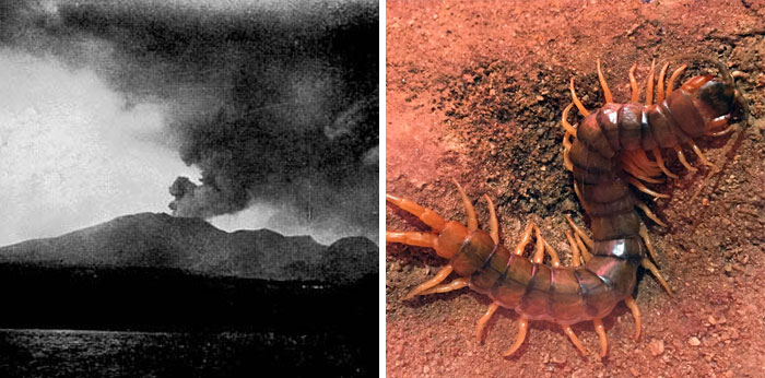 "Hoy aprendí": 20 Datos que demuestran que nunca es tarde para aprender (nuevas fotos)