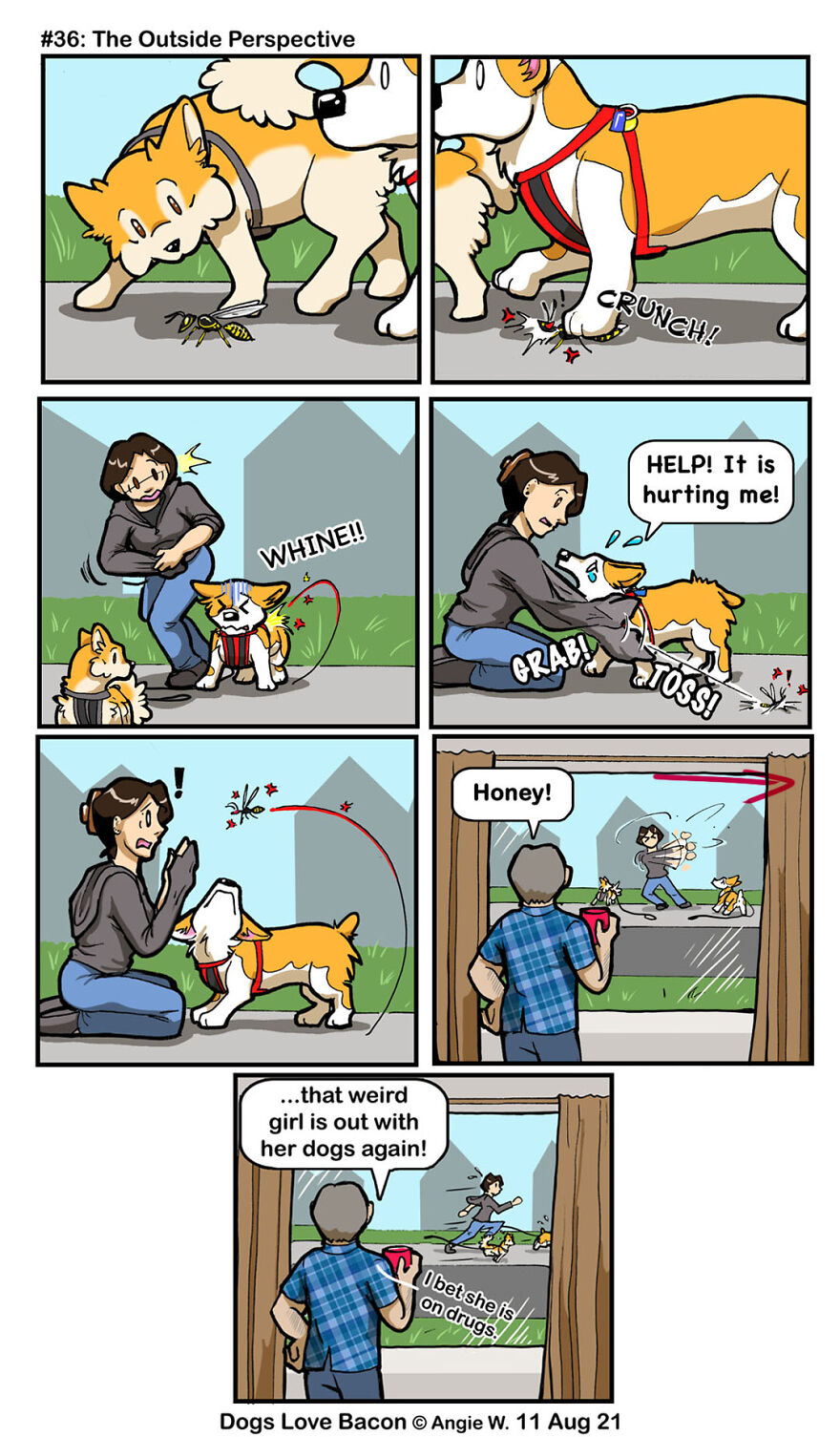 #36: The Outside Perspective