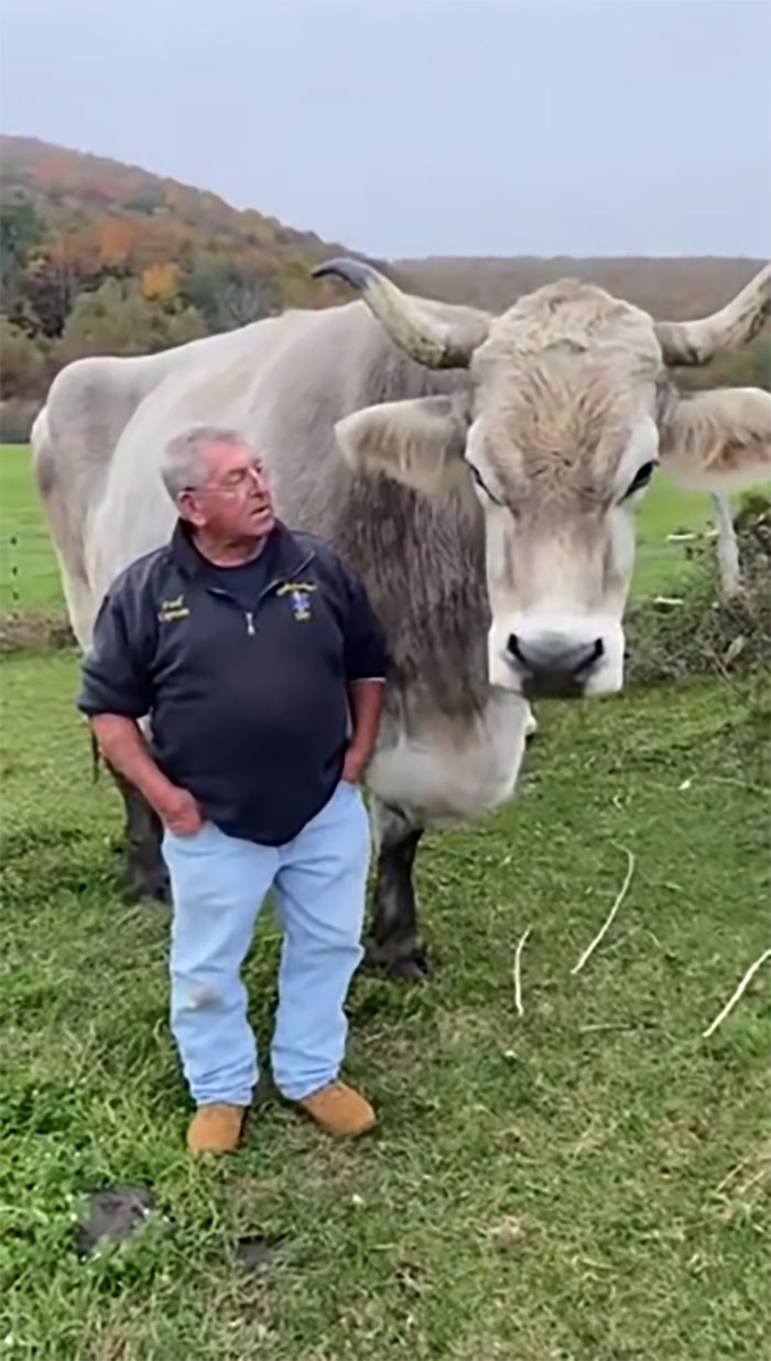 This Freaking Hunk Of A Beefy Boii