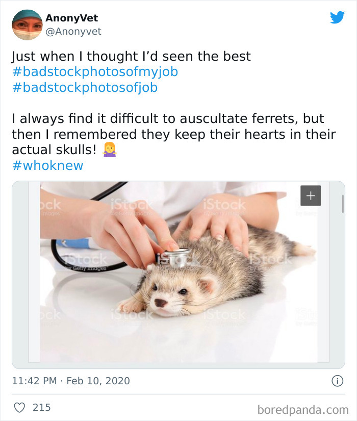 Bad Stock Photos Of My Job