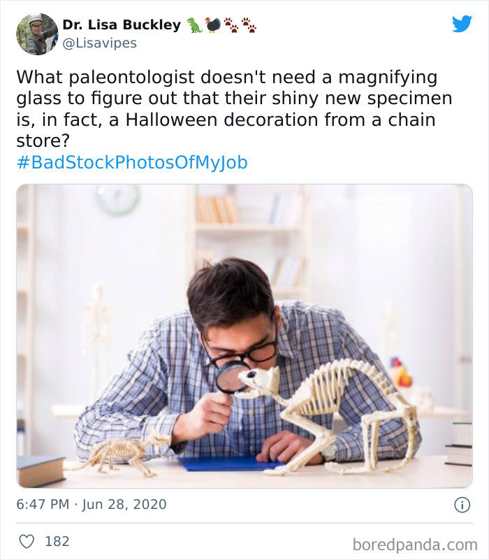 Bad Stock Photos Of My Job