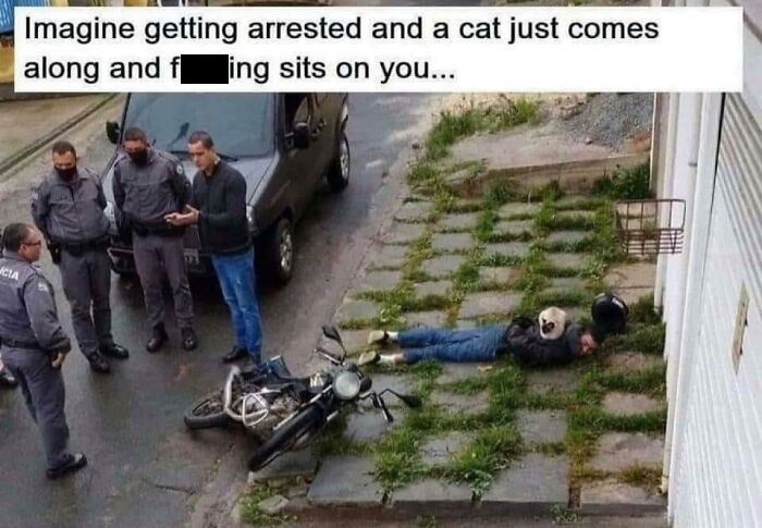 A Valuable Member Of The Police Force I’m Sure