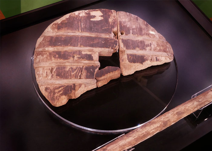 "Hoy aprendí": 30 datos que demuestran que nunca es tarde para aprender (nuevas fotos)