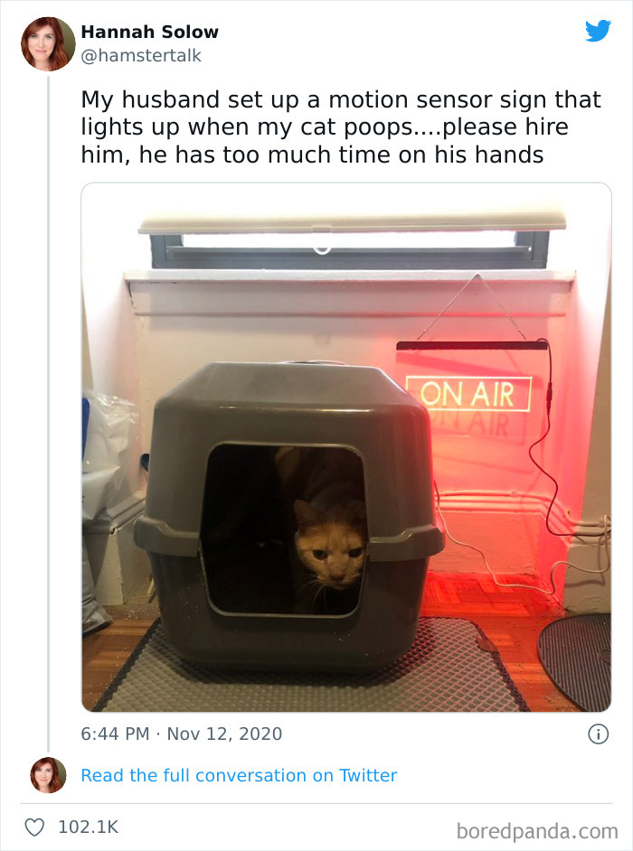 Being Cooped Up Has Us All Crazy