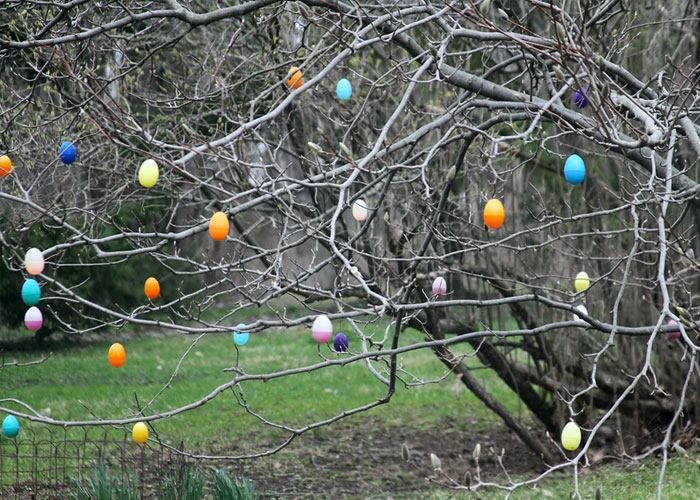 30 People Reveal Scams They Still Can't Believe They Bought