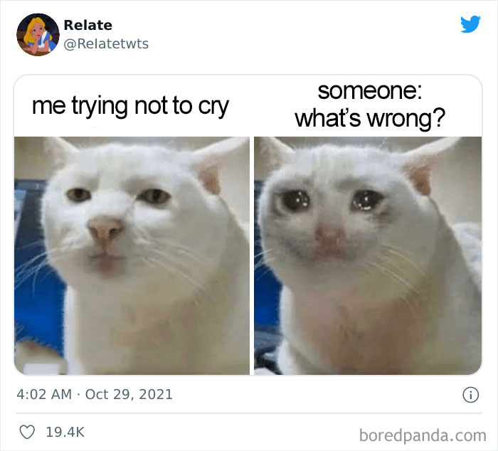 Relatable-Funny-Tweets