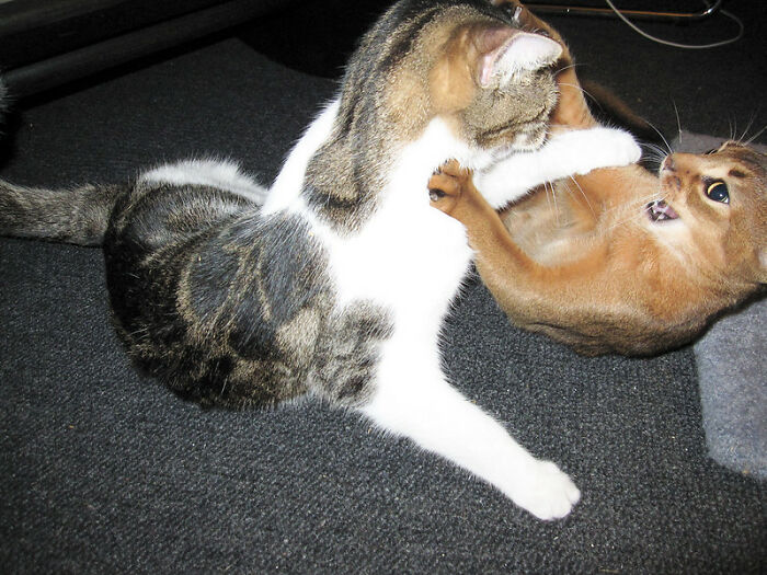 Someone Asked “What Are Some Men’s Issues That Are Overlooked?”, And 30 People Delivered