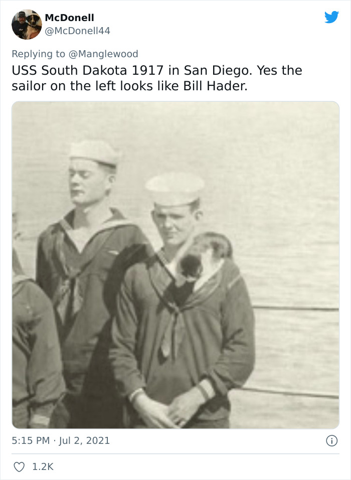 Twitter User Shared 14 Historical Photos Of Cats Chilling In Their Tiny Hammocks Aboard Naval Ships Twitter User Shared 14 Historical Photos Of Cats Chilling In Their Tiny Hammocks Aboard Naval Ships